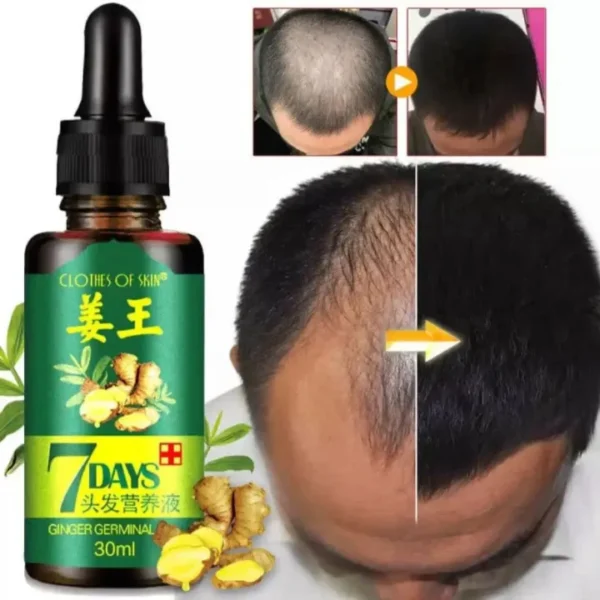 Ginger Germinal Oil