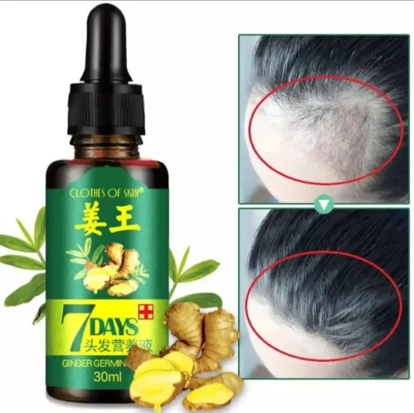 Ginger Germinal Oil